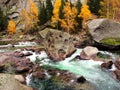 River and Colorful Forest In Autumn